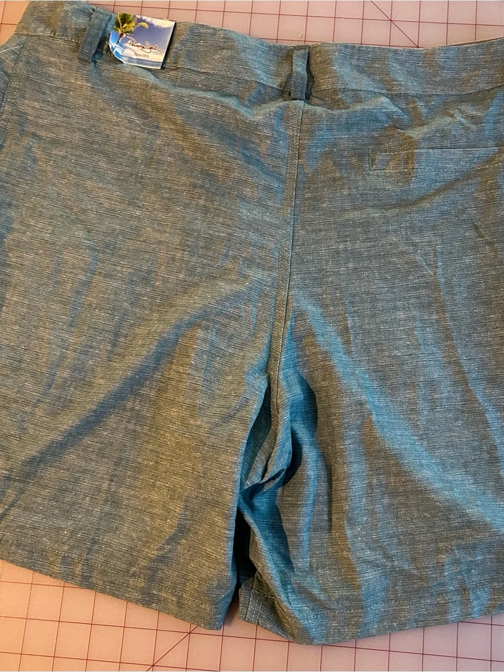 Panama Jack Men's Sea Blue Flat Front Swim Trunks NWT Size 36